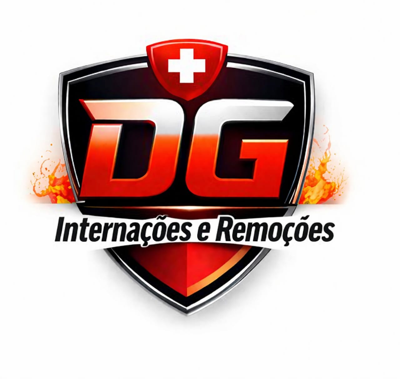 DG Internações e Remoções
